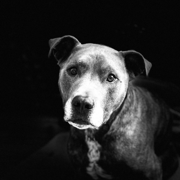 Meet your Posher, Brian - Picture 1 of 1